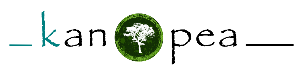 Logo développé